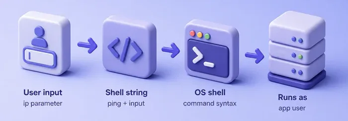 Flow from user input into a shell-built system command and OS execution