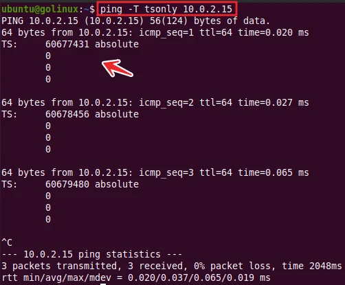 ping command to set timestamp option