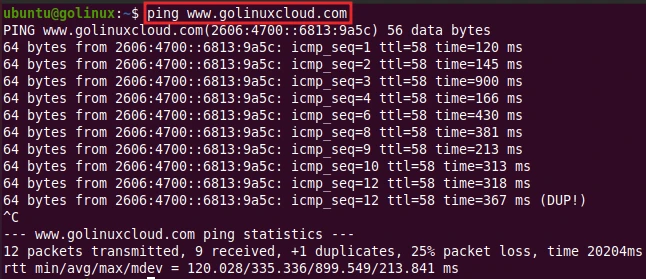 ping command to check the network connectivity of the target host