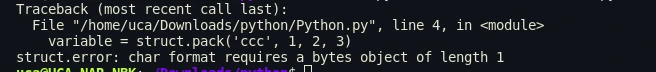 python struct pack method