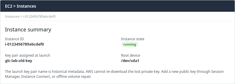EC2 instance summary showing the launch key pair name; AWS cannot re-download the lost private key