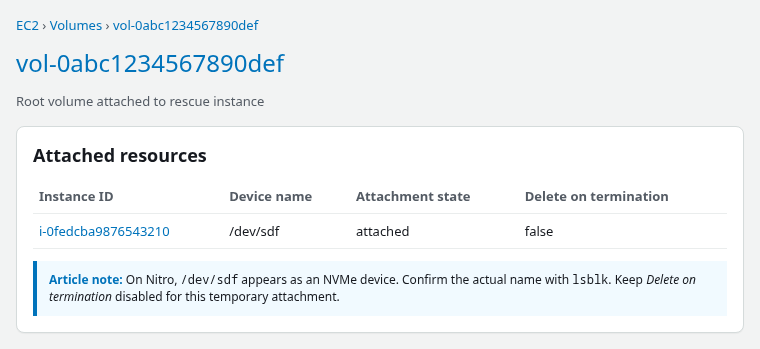 EBS root volume attached to the rescue EC2 instance as secondary storage at /dev/sdf with Delete on termination disabled