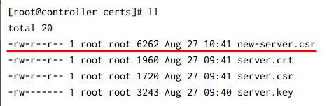 Renew self-signed certificate OpenSSL [Step-by-Step]