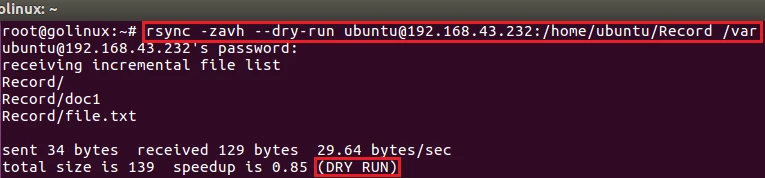 rsync dry run command output