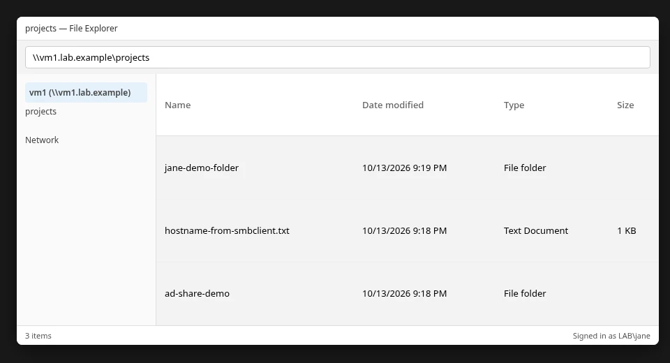 Windows File Explorer showing the projects share on vm1.lab.example as LAB jane