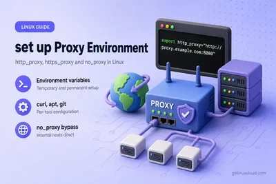 Set up Proxy using http_proxy, https_proxy and no_proxy in Linux