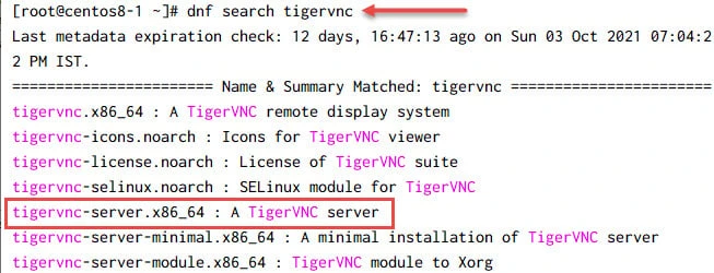 Tutorial: Setup VNC Server CentOS 8 [Step-by-Step]