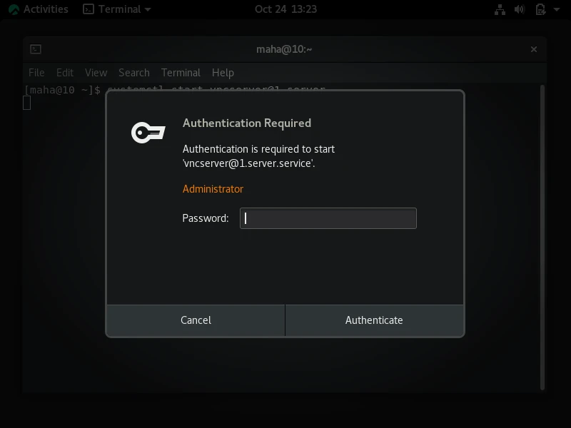 Setup VNC server in Rocky Linux 8 [Step-by-Step]