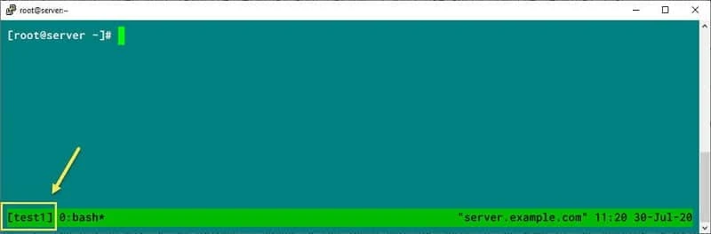 Assign name to tmus session