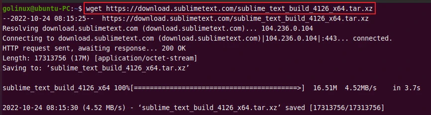 wget to download single file