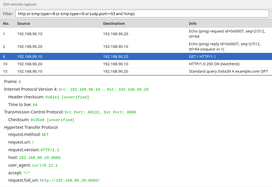 SSHDump packet list with ICMP echo, HTTP GET, HTTP 200, and a DNS query for example.com