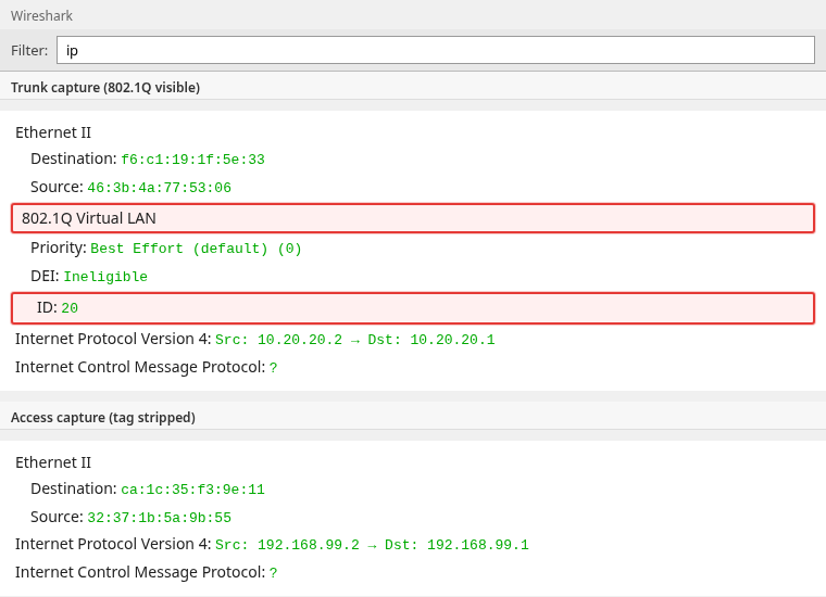Wireshark protocol trees compared: trunk capture shows Ethernet II, 802.1Q Virtual LAN with ID 20, then IPv4; access capture shows Ethernet II then IPv4 only
