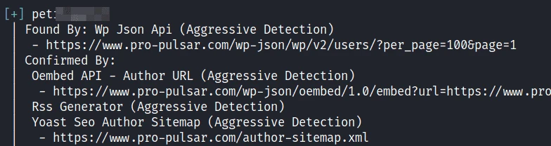 WPScan: WordPress Vulnerability Scanner Guide [5 Steps]